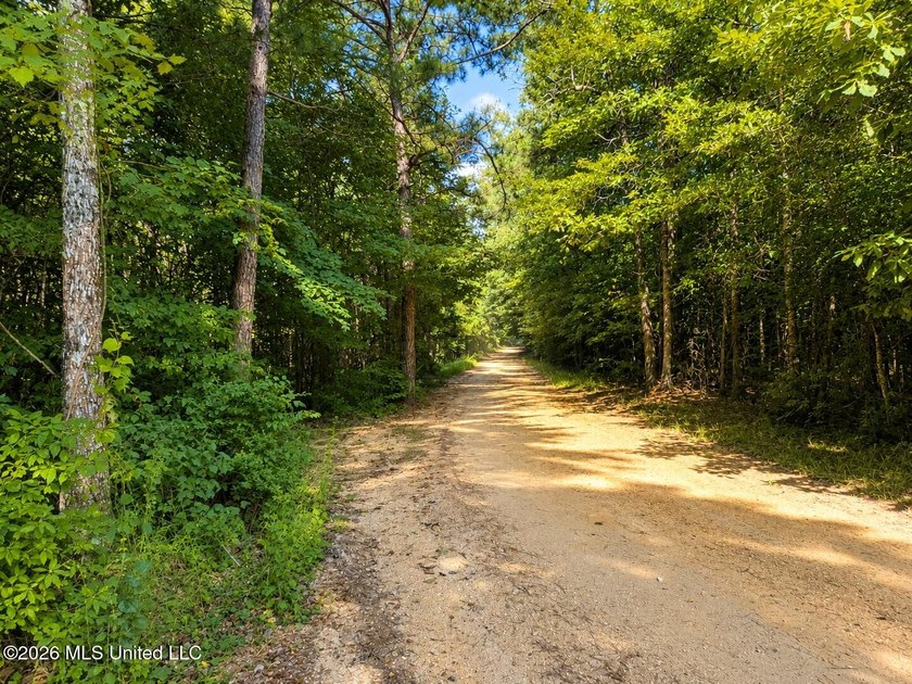 This 66+/- acre tract in the West Lincoln School District - photo 15