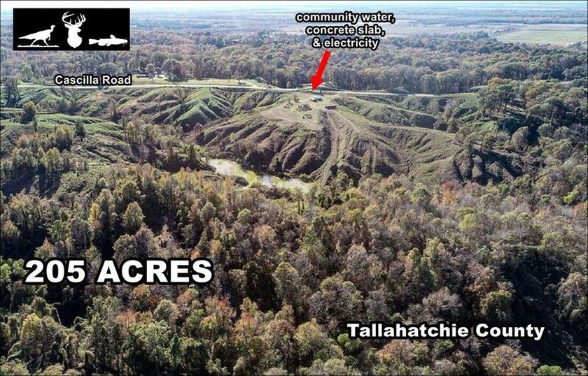 Welcome to the Tallahatchie 205! Located south of Charleston - photo 2
