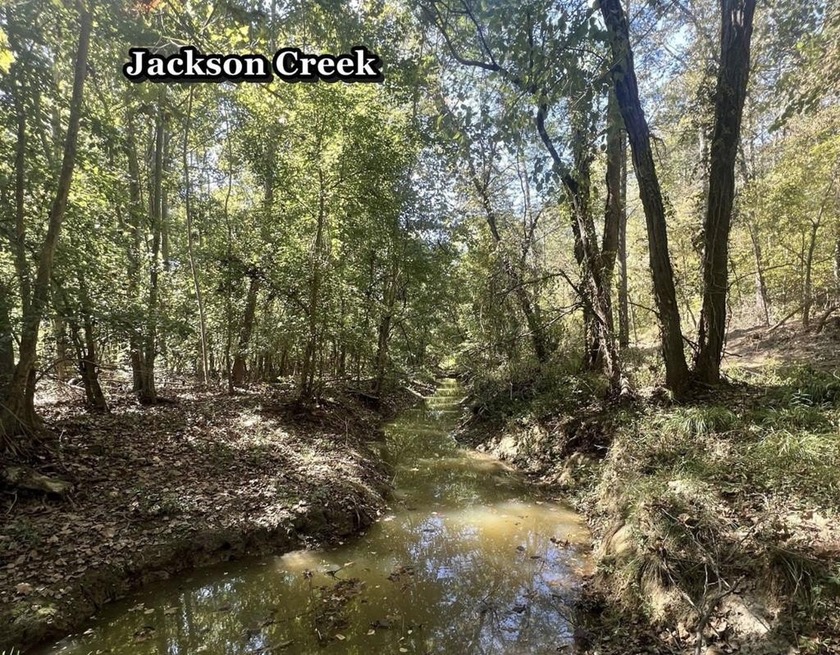 Welcome to the Tallahatchie 205! Located south of Charleston - photo 3