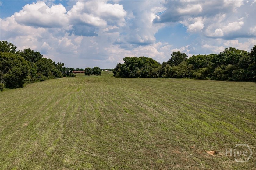 If you're looking for the perfect blend of open pasture and - photo 8