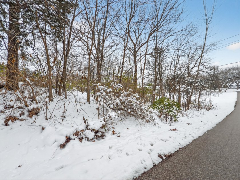 Buildable lot located in unincorporated Lake County! This - photo 12