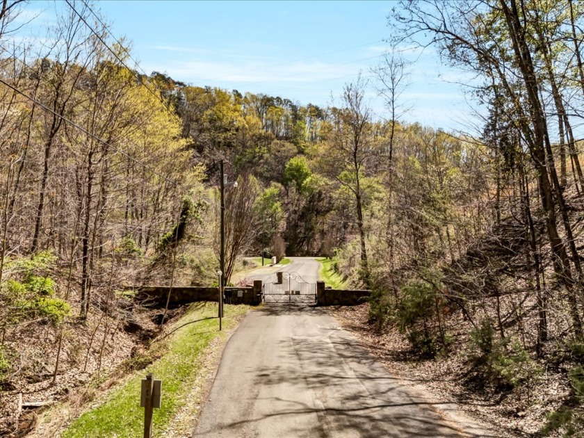 Cherokee Lakefront Lot in Gated Walnut Bend SOLD - photo 6