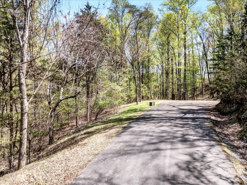 Cherokee Lakefront Lot in Gated Walnut Bend SOLD - photo 8