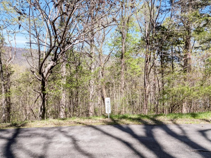Cherokee Lakefront Lot in Gated Walnut Bend SOLD - photo 9