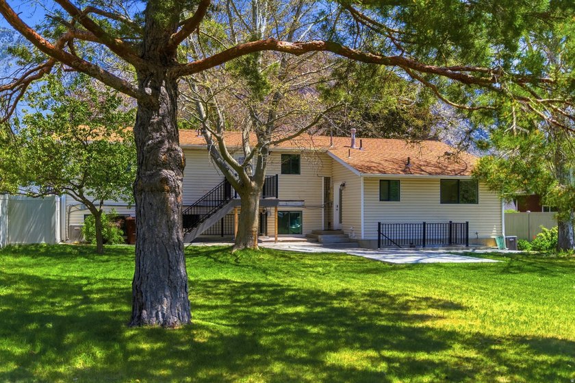 Completely reimagined Alpine home on a spacious 0.54-acre lot - photo 4