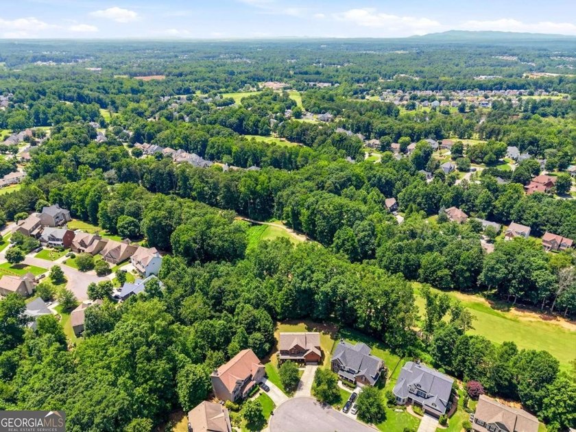 Rare opportunity on the 5th fairway in sought-after Hampton Golf - photo 41