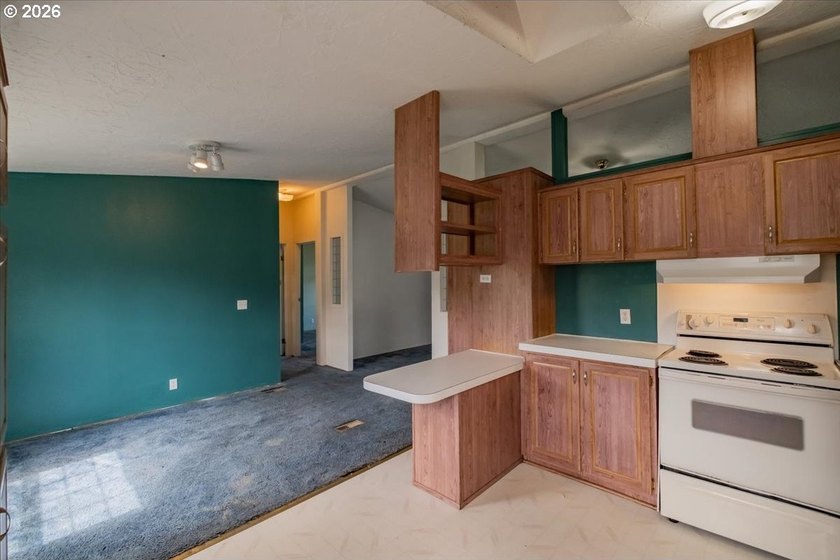 BRAND NEW ROOF, HEAT PUMP &amp; CARPET! This 3-bed, 2-bath MFH on a - photo 19