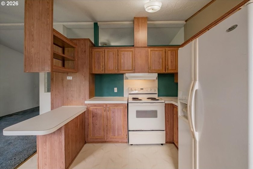 BRAND NEW ROOF, HEAT PUMP &amp; CARPET! This 3-bed, 2-bath MFH on a - photo 20