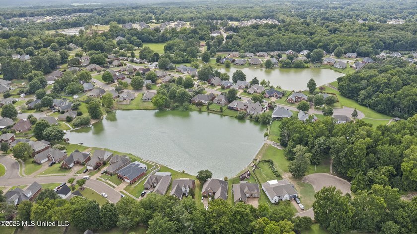 Welcome to 1211 Cross Creek E Drive in Hernando, where comfort - photo 41
