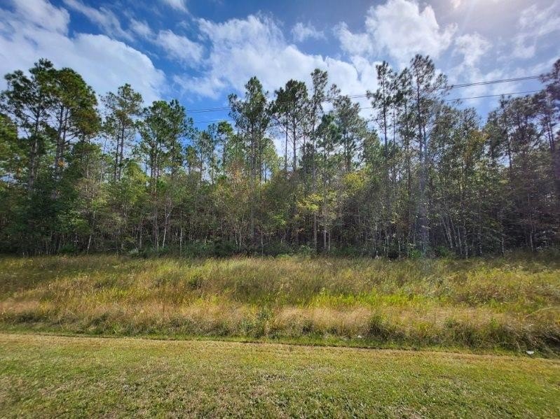 Opportunity Knocks! 5.3 Acres on Kings Bay Rd., St. Marys, GA - photo 6