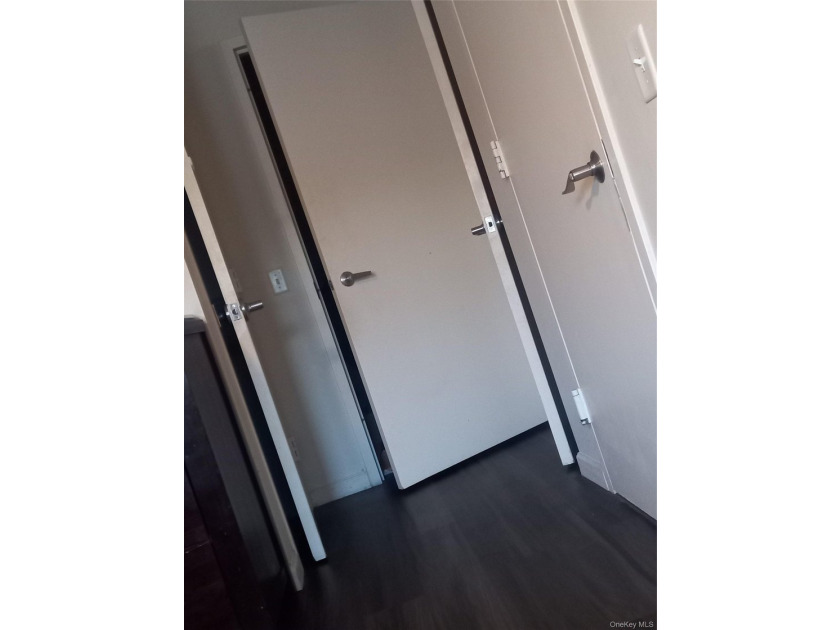 The cheapest modern (2007 building) 3BR 2BA condo over 1200sqft - photo 11