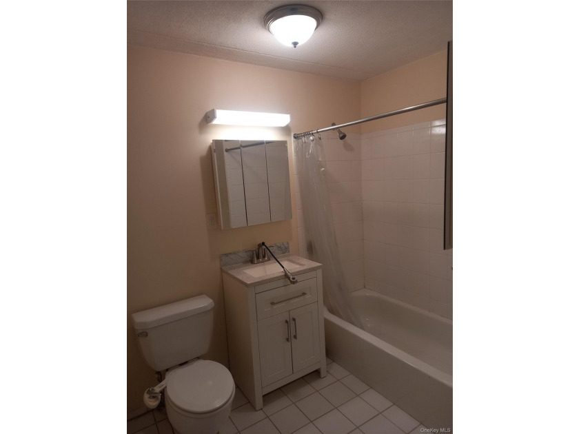 The cheapest modern (2007 building) 3BR 2BA condo over 1200sqft - photo 16