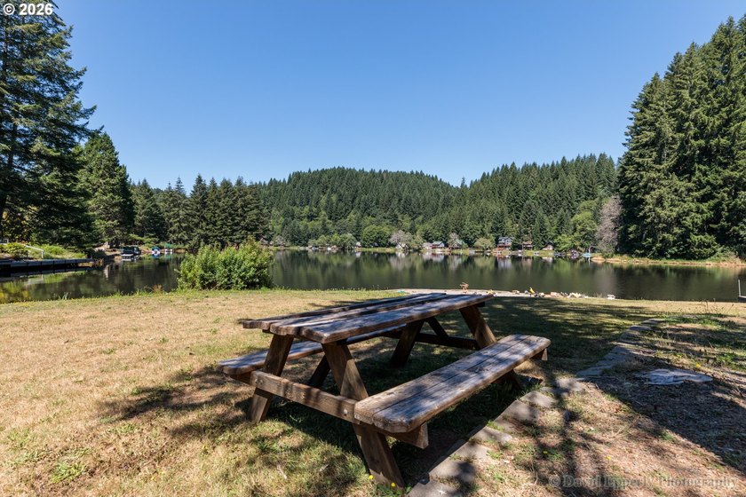 Experience the best of Pacific Northwest living at Fishhawk - photo 27