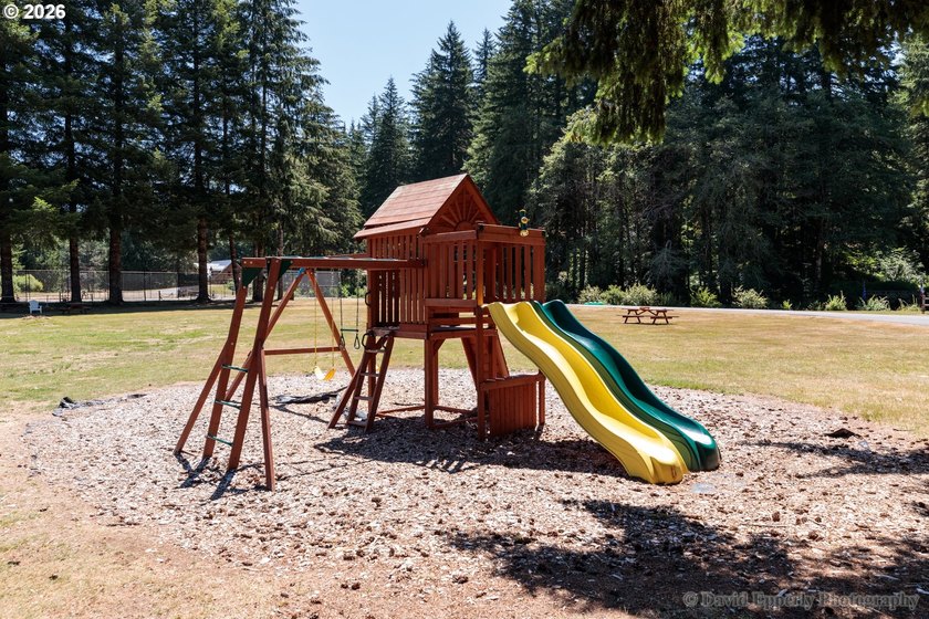 Experience the best of Pacific Northwest living at Fishhawk - photo 28
