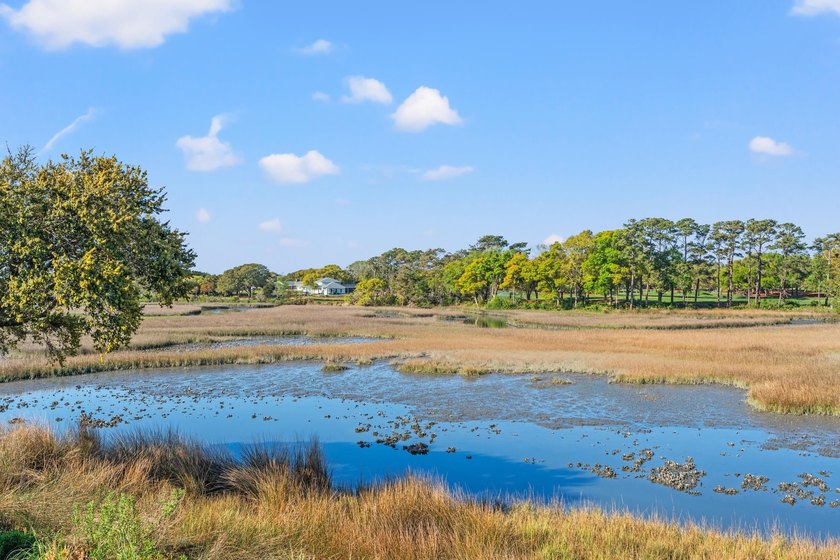 Beautiful raised Beach Home, only 2 blocks from the Beach! This - photo 33