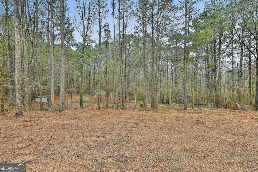Escape the ordinary and discover serene living on over 10 acres - photo 41