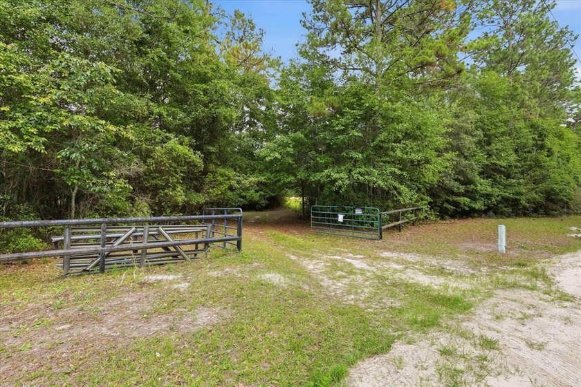 Escape the noise and discover the kind of property people spend - photo 35
