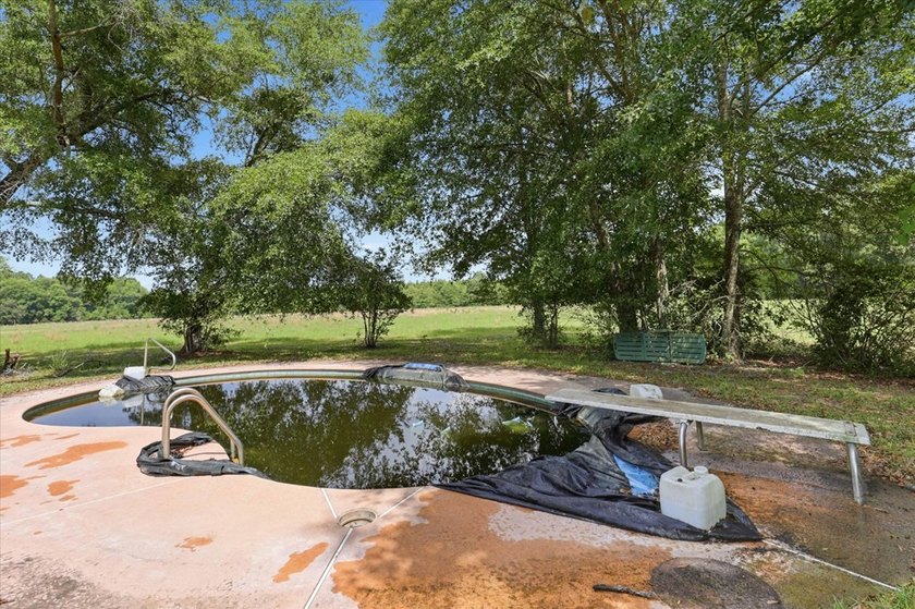 Escape the noise and discover the kind of property people spend - photo 41