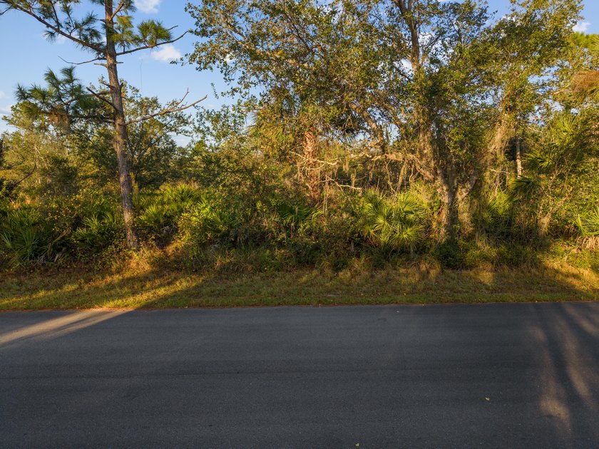 Discover the perfect spot to build your dream home in beautiful - photo 10