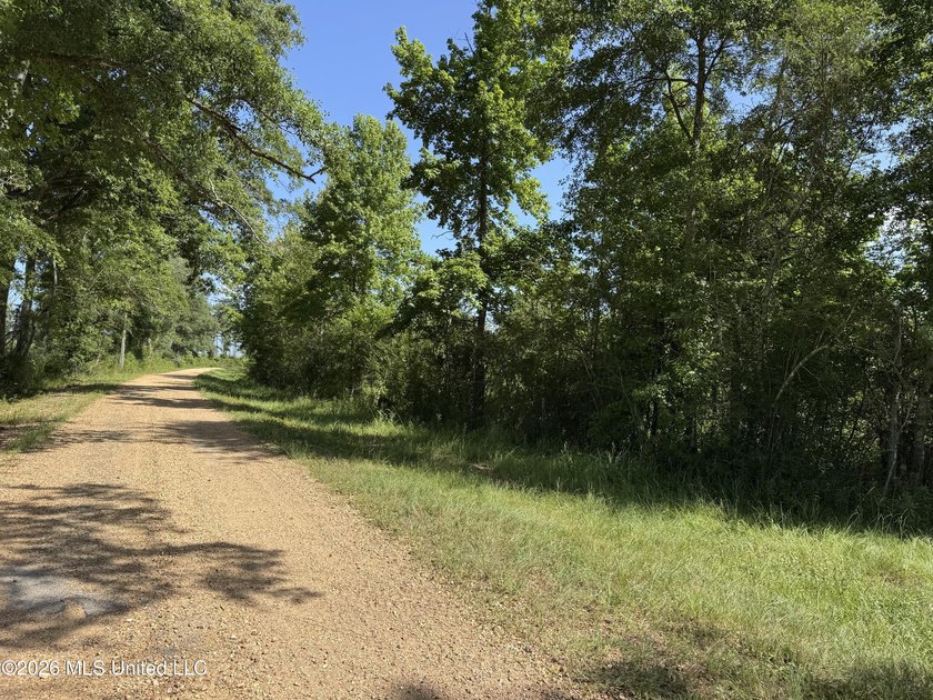 80+/- Acres - Topisaw Creek Recreational Tract, Southwest - photo 13