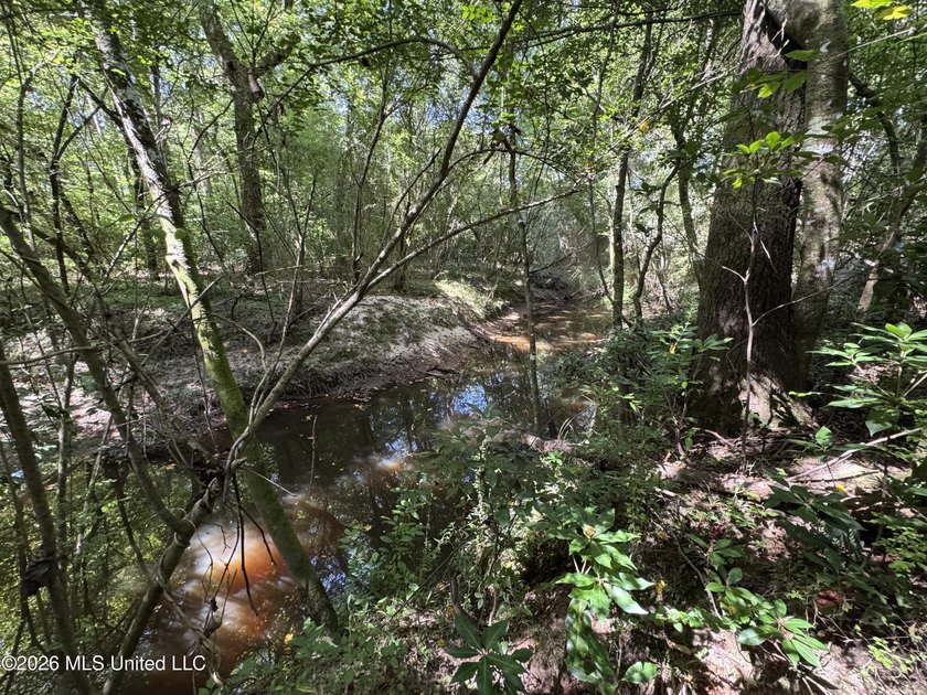 80+/- Acres - Topisaw Creek Recreational Tract, Southwest - photo 21