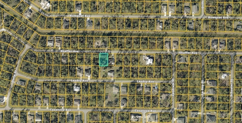 No HOAs with fees or deed restrictions or CDDs. Not on the North - photo 3