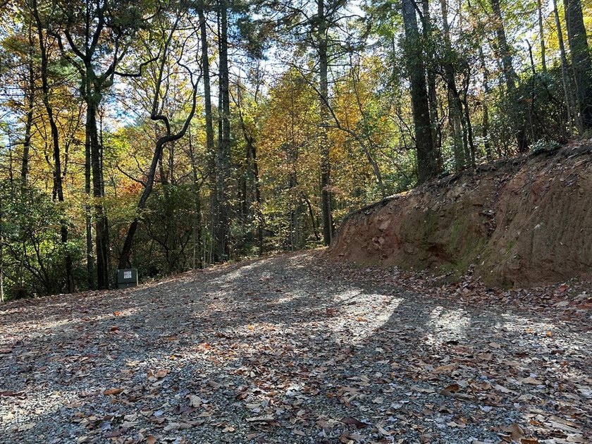 Discover the possibilities with this 8.07-acre mountain property - photo 11
