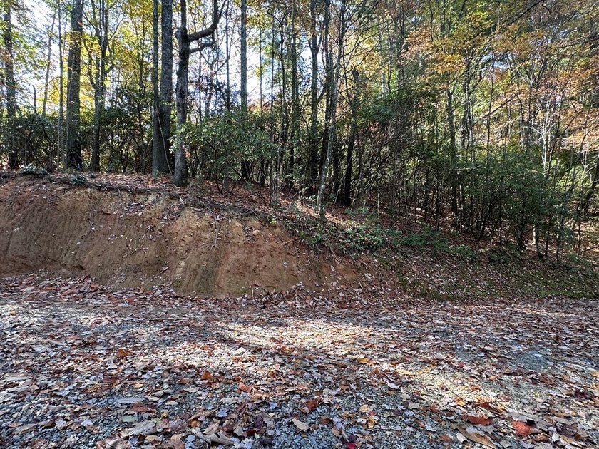 Discover the possibilities with this 8.07-acre mountain property - photo 12