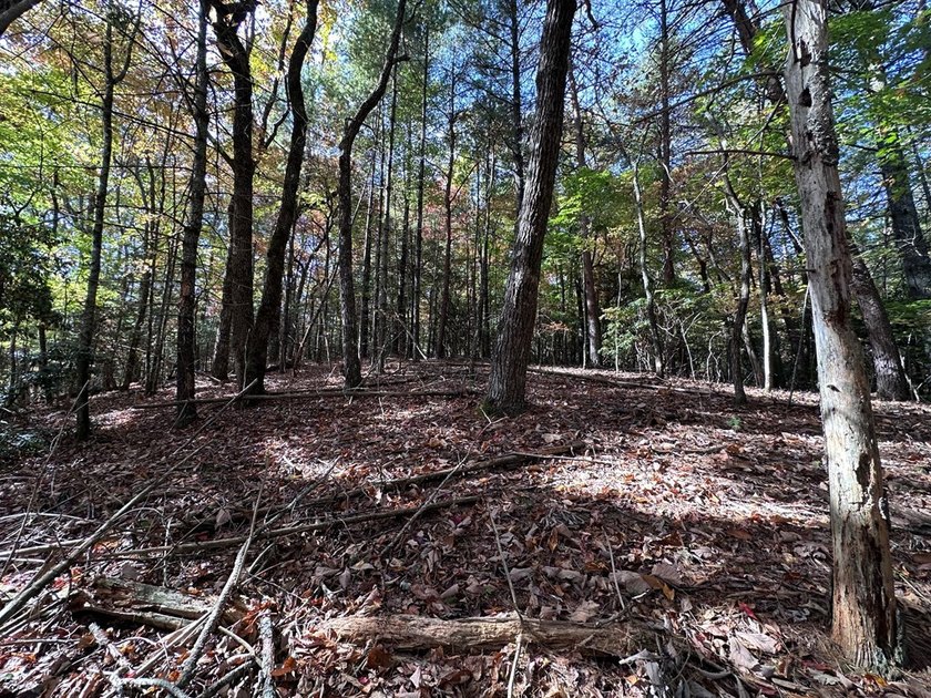 Discover the possibilities with this 8.07-acre mountain property - photo 16