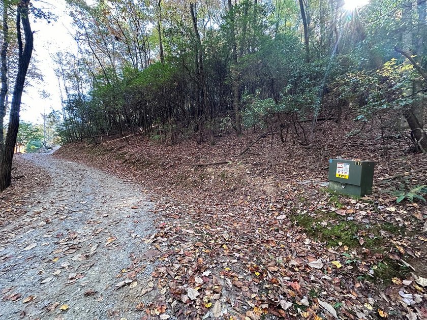 Discover the possibilities with this 8.07-acre mountain property - photo 17