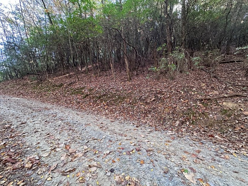 Discover the possibilities with this 8.07-acre mountain property - photo 19
