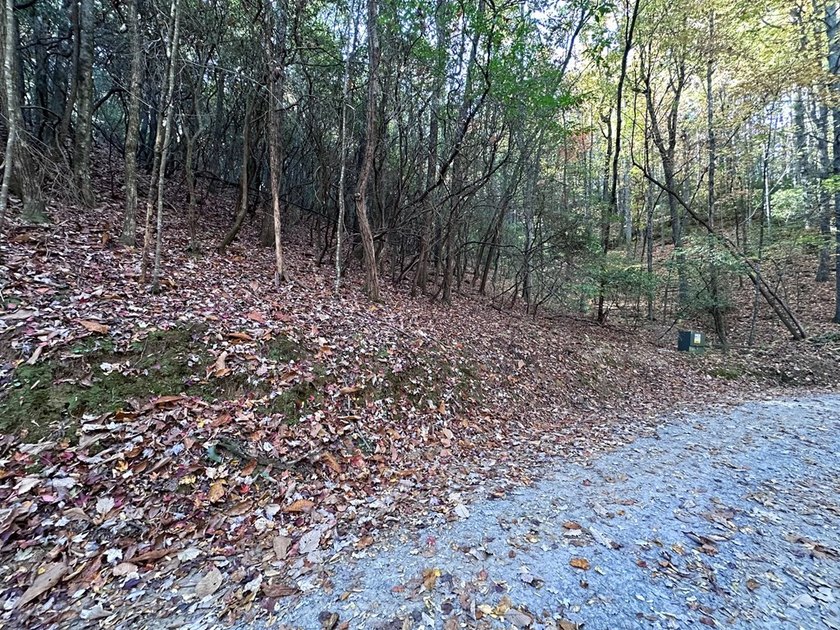 Discover the possibilities with this 8.07-acre mountain property - photo 20