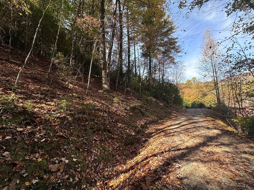 Discover the possibilities with this 8.07-acre mountain property - photo 21