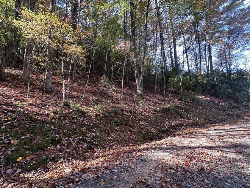 Discover the possibilities with this 8.07-acre mountain property - photo 22