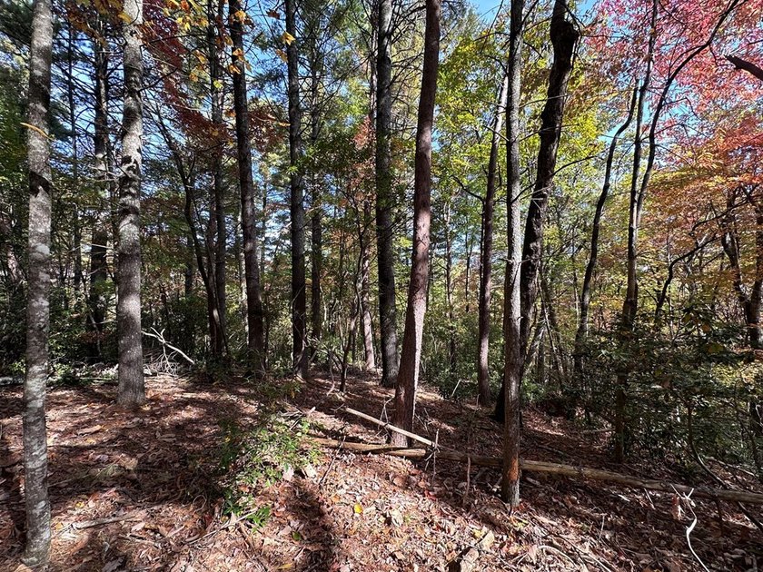 Discover the possibilities with this 8.07-acre mountain property - photo 25