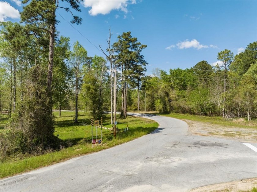 AMAZING, HUGE 2.59 ACRE CLEARED WATER FRONT LOT ON LAKE - photo 6