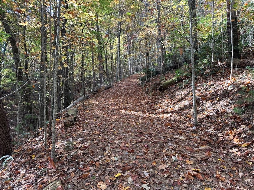 Discover the possibilities with this 8.07-acre mountain property - photo 26