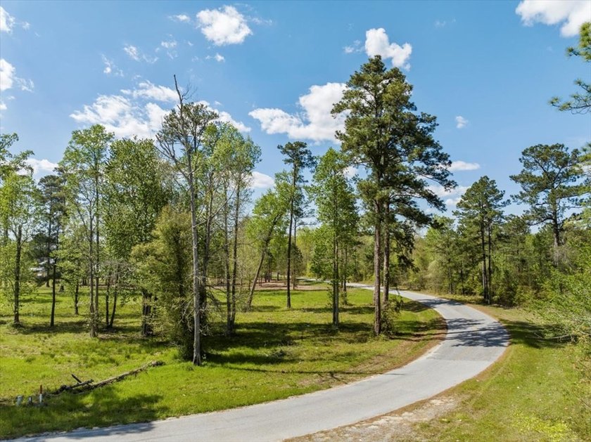 AMAZING, HUGE 2.59 ACRE CLEARED WATER FRONT LOT ON LAKE - photo 7