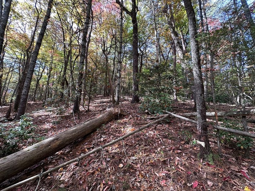Discover the possibilities with this 8.07-acre mountain property - photo 27