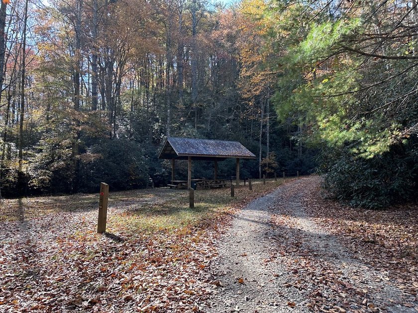 Discover the possibilities with this 8.07-acre mountain property - photo 29