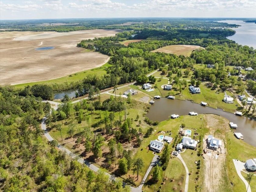 AWESOME WATER FRONT LOT ON LAKE BLACKSHEAR!!! Large 1.98 acre - photo 2