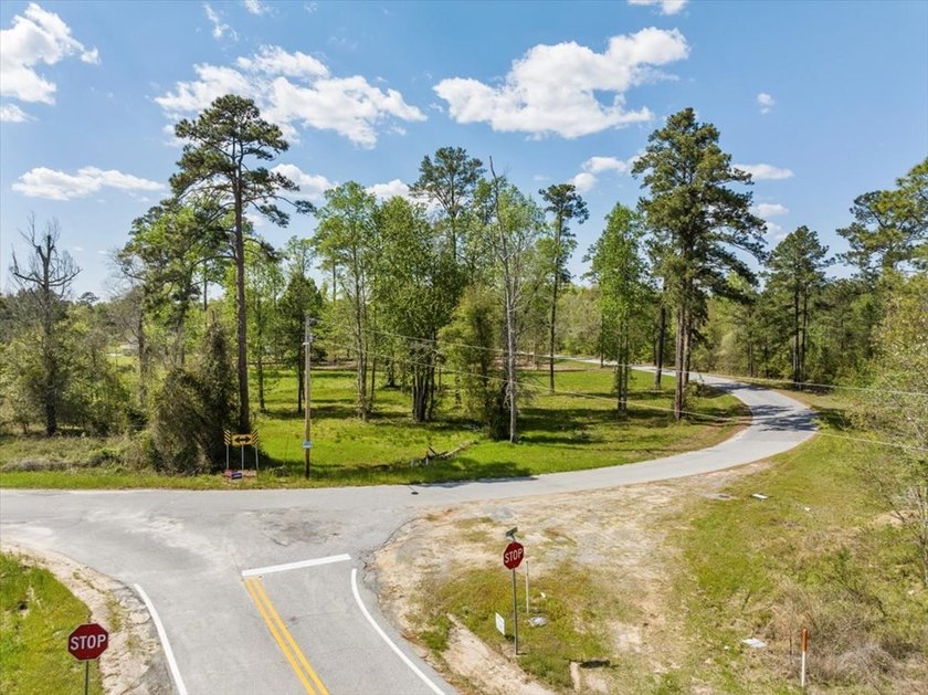 AWESOME WATER FRONT LOT ON LAKE BLACKSHEAR!!! Large 1.98 acre - photo 10