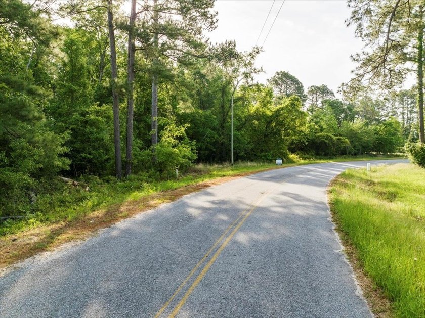 HUGE 2 acre lot (outlined in red in photos) on corner of Scenic - photo 3