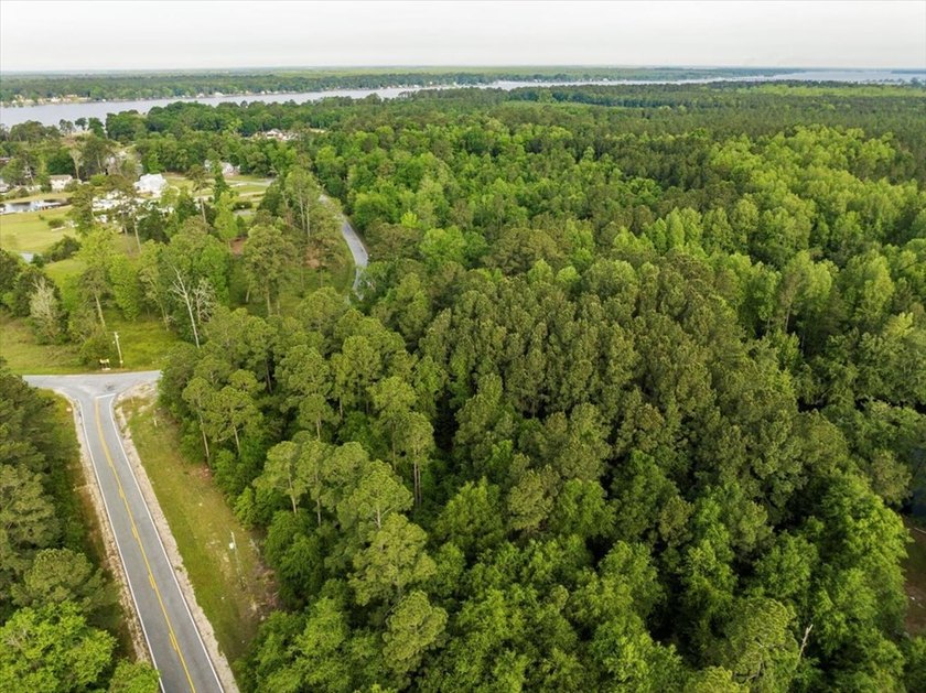 HUGE 2 acre lot (outlined in red in photos) on corner of Scenic - photo 5