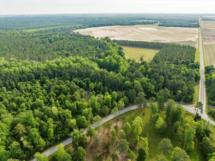 HUGE 2 acre lot (outlined in red in photos) on corner of Scenic - photo 7