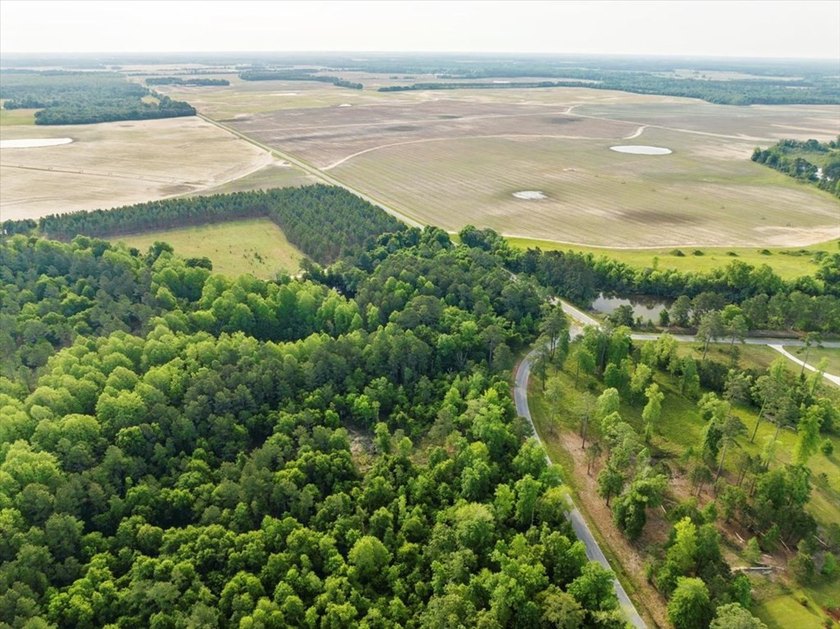 HUGE 2 acre lot (outlined in red in photos) on corner of Scenic - photo 9