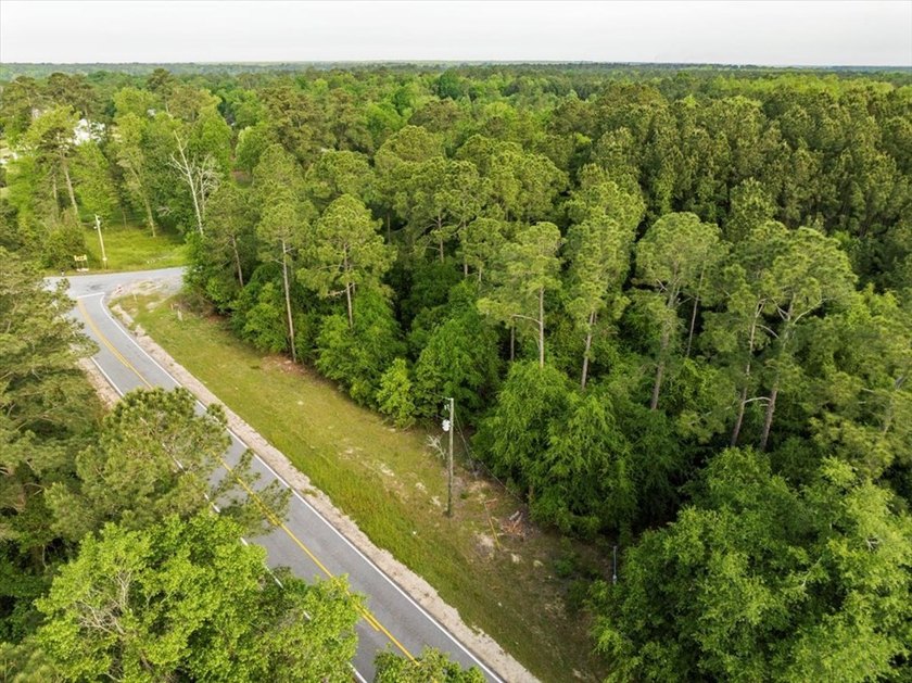 HUGE 2 acre lot (outlined in yellow in pictures) next one down - photo 4