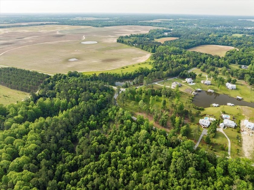 HUGE 2 acre lot (outlined in yellow in pictures) next one down - photo 10