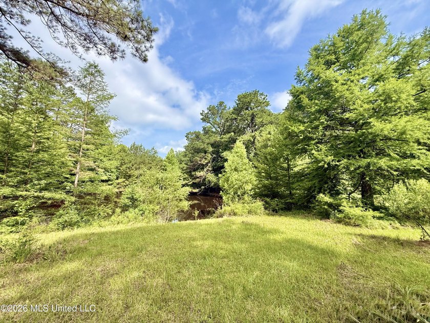Enjoy peaceful country living on 5.4+/- acres with this spacious - photo 11