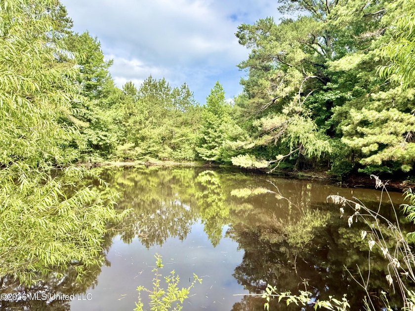 Enjoy peaceful country living on 5.4+/- acres with this spacious - photo 13